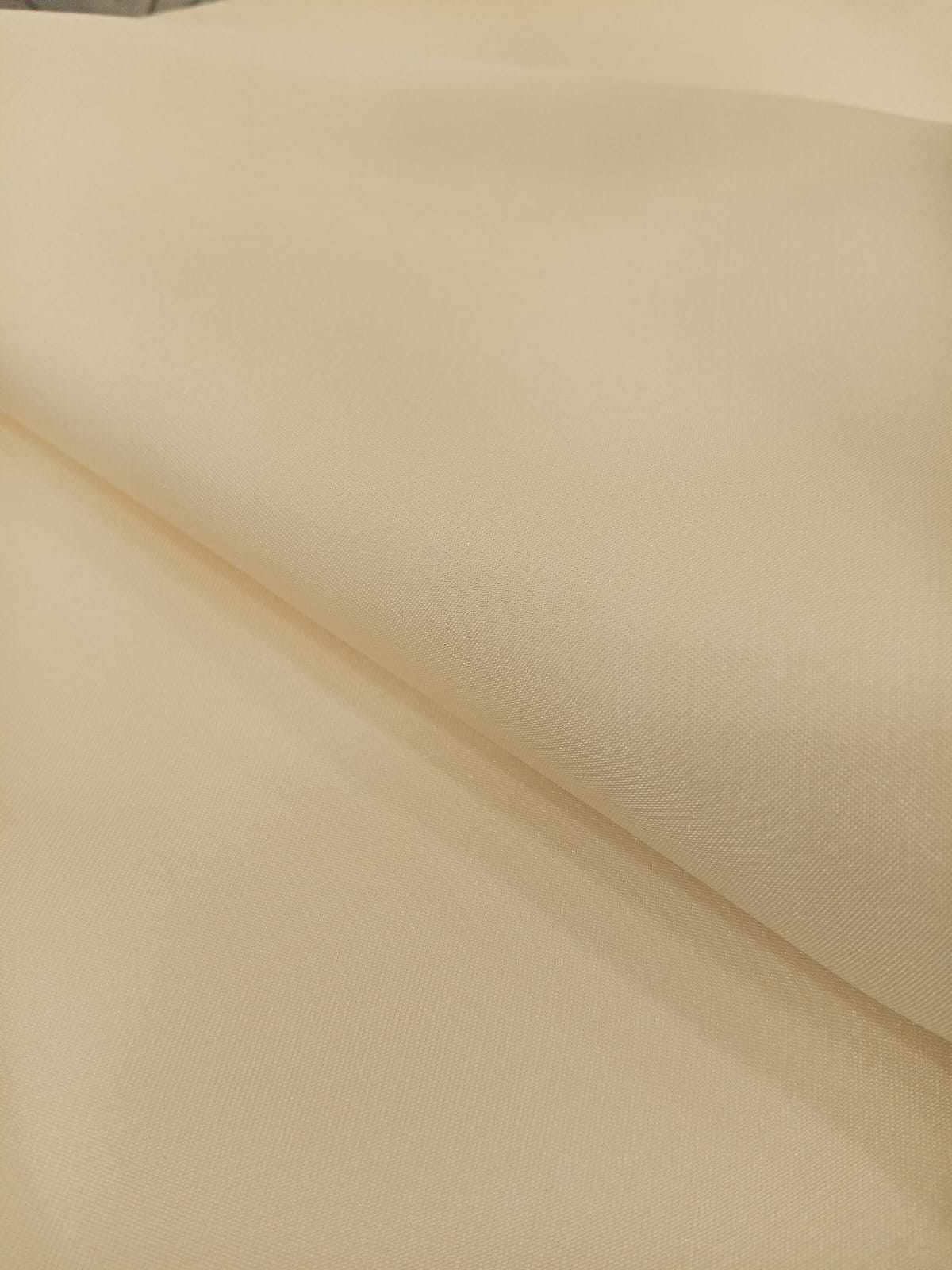 Off White | Luxury Chiffon Embroidered