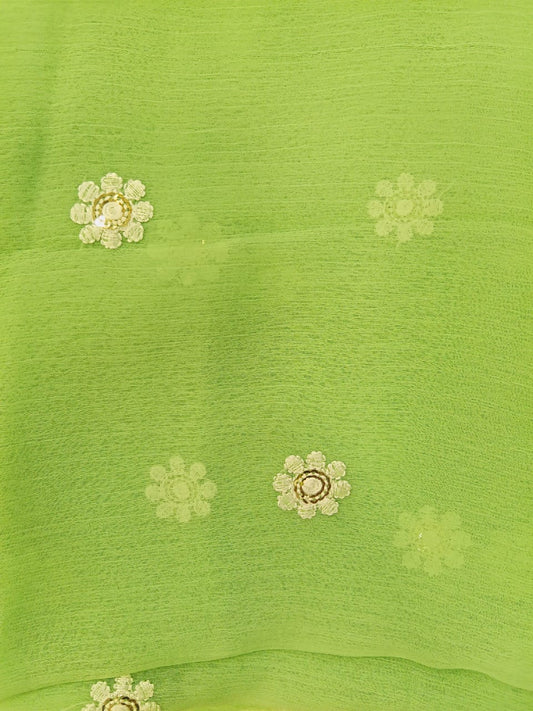 Light Green | Luxury Chiffon Embroidered