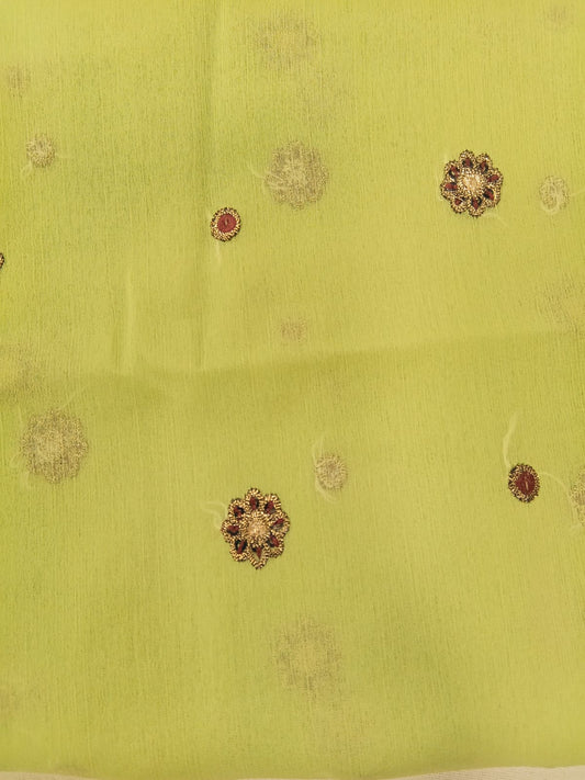 Pistachio Green | Luxury Chiffon Embroidered