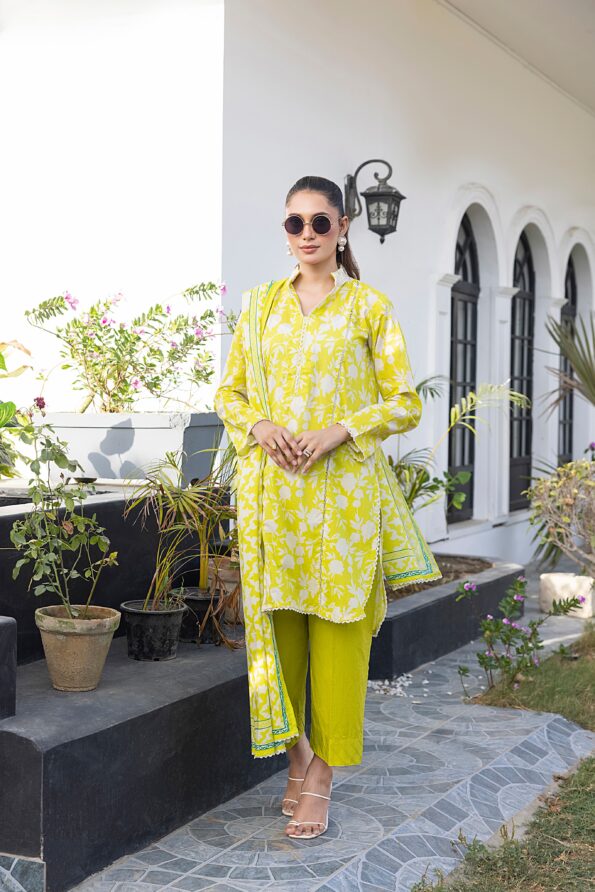 Bright Green | Salina 3pc Unstitched Lawn Collection
