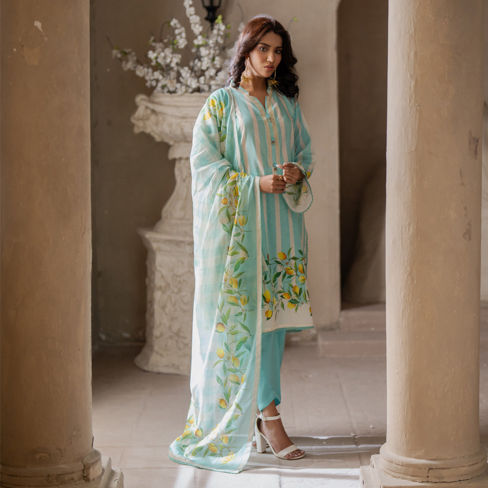 Sky Blue | Salina 3pc Unstitched Lawn Collection