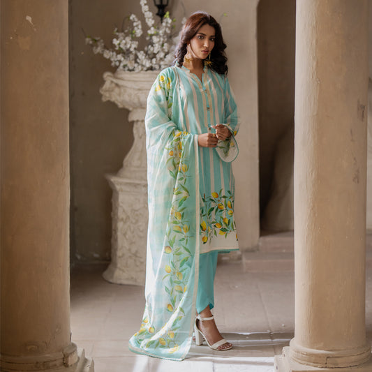 Sky Blue | Salina 3pc Unstitched Lawn Collection