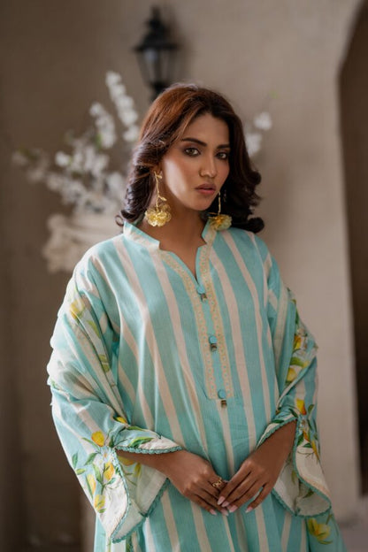 Sky Blue | Salina 3pc Unstitched Lawn Collection