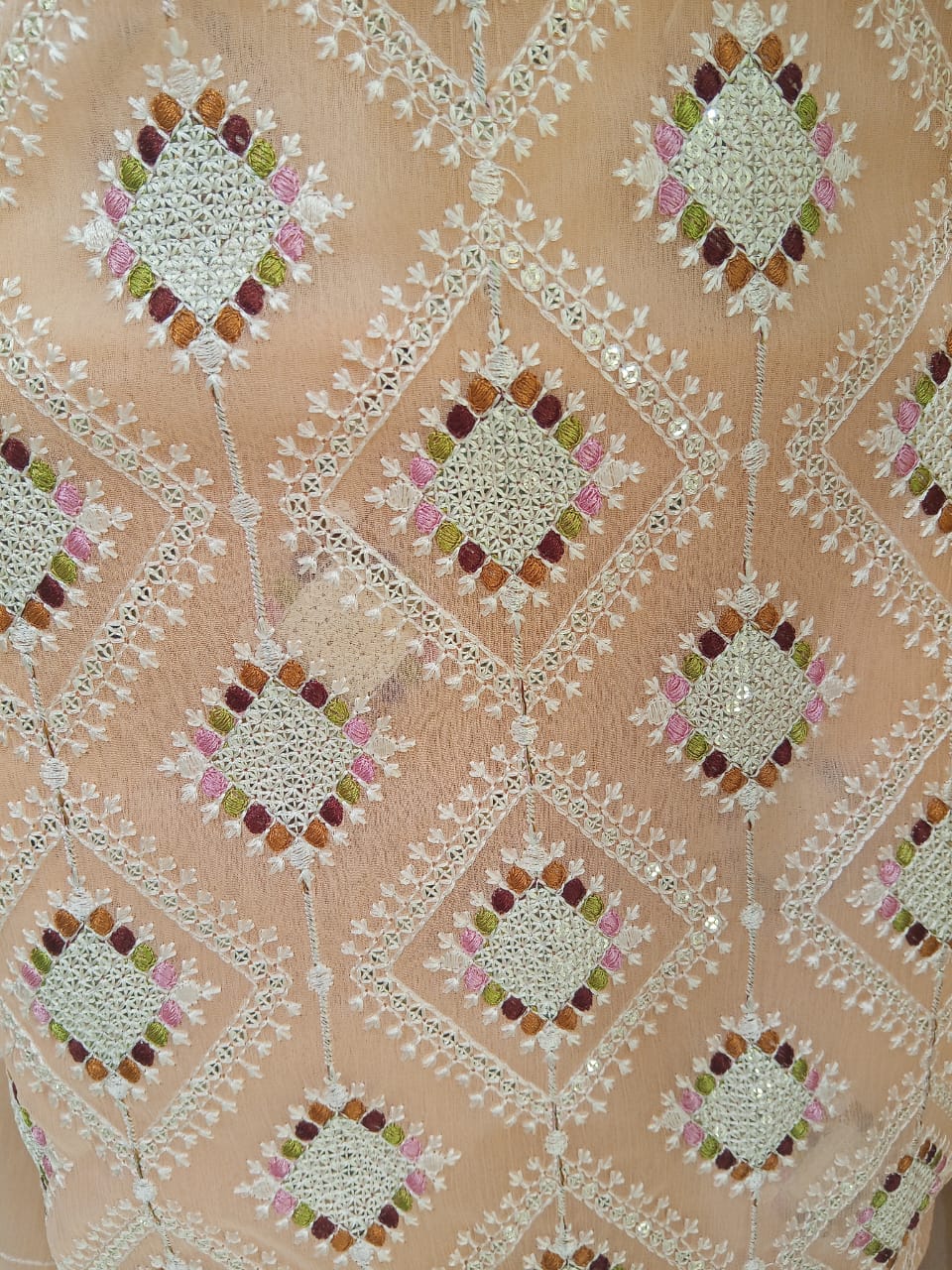 Light Salmon | Luxury Chiffon Embroidered