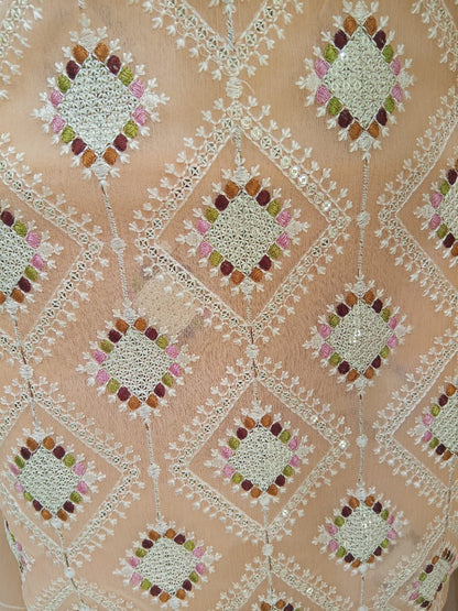 Light Salmon | Luxury Chiffon Embroidered
