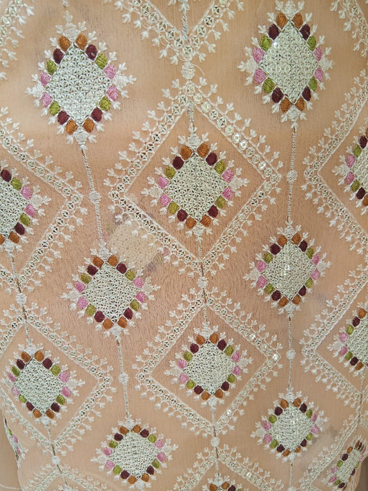 Light Salmon | Luxury Chiffon Embroidered