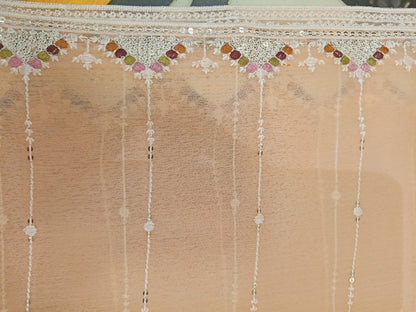 Light Salmon | Luxury Chiffon Embroidered