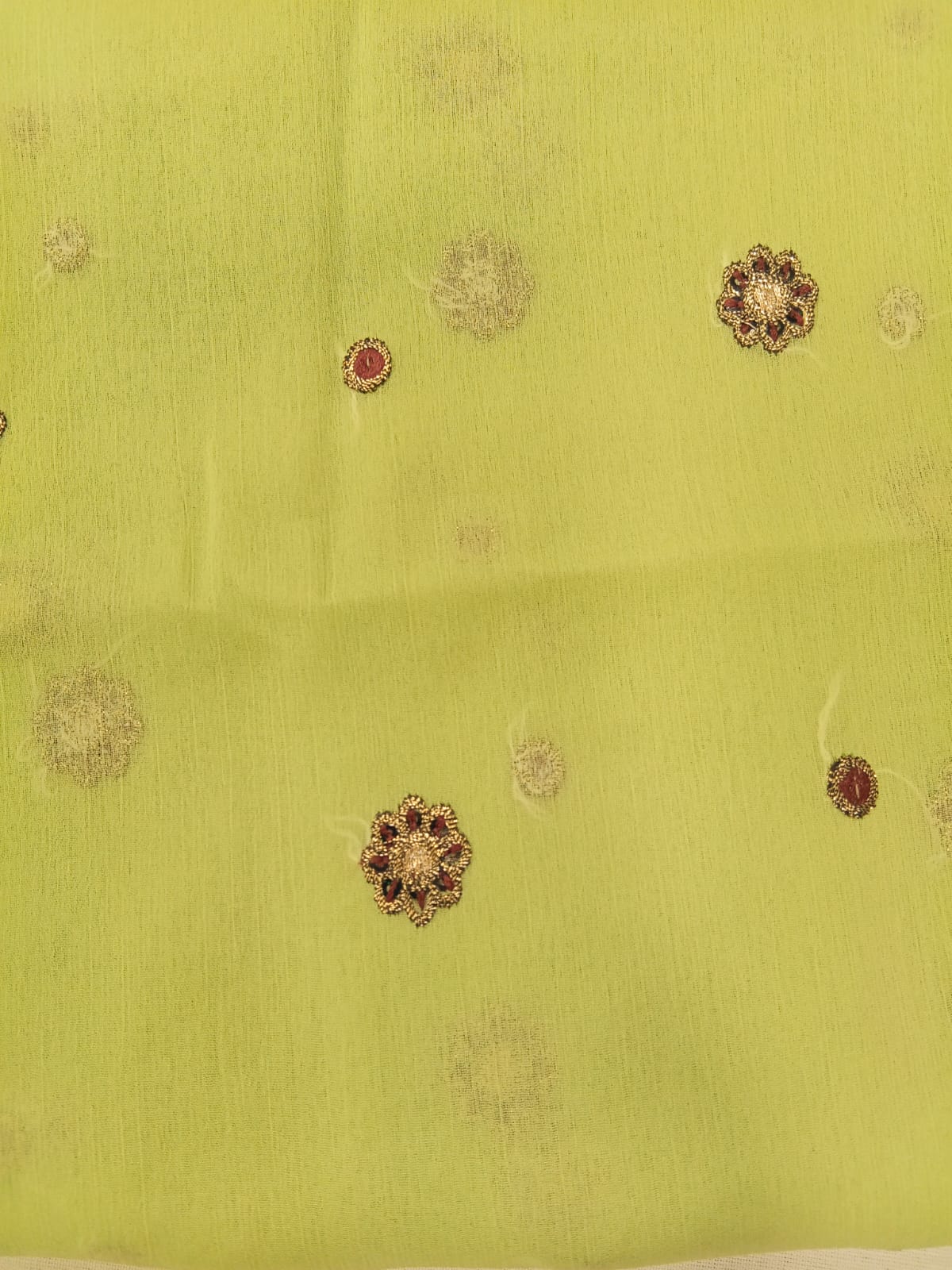 Pistachio Green | Luxury Chiffon Embroidered