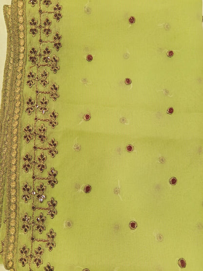 Pistachio Green | Luxury Chiffon Embroidered